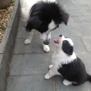 Meet your Posher, Carole